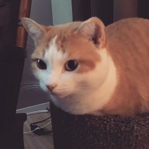 Meet your Posher, Maryanne